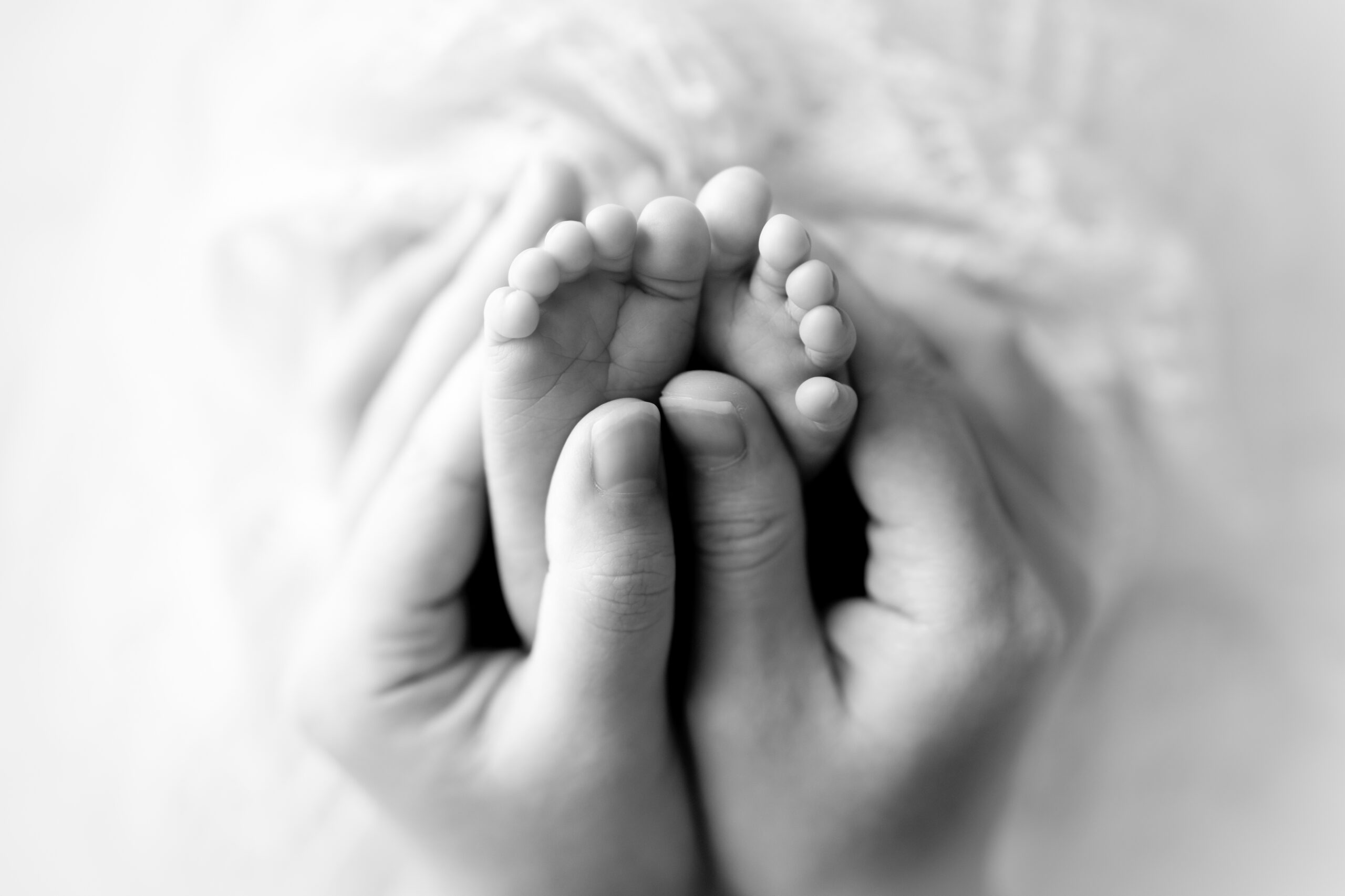 杉並区のニューボーンフォト|白を基調とした自然な雰囲気の撮影 赤ちゃんの安全を最優先に、ポーズド撮影と自然な姿の両方を大切にしています