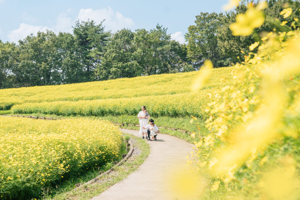 杉並区のニューボーンフォト｜白を基調とした自然な雰囲気の撮影 赤ちゃんの安全を最優先に、ポーズド撮影と自然な姿の両方を大切にしています